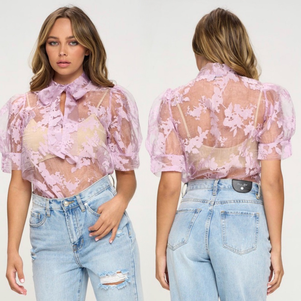 Elegant Lavender Sheer Organza Blouse